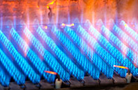 Pardown gas fired boilers
